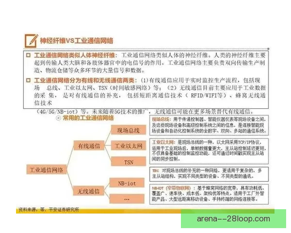 国家队大名单揭晓背后故事与新周期期待全景解读未来布局球迷关注